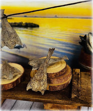 Dried Fish x 2 - Miniature