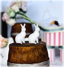 Pair of Tiny White Rabbits - Miniature