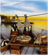 Dried Fish x 2 - Miniature