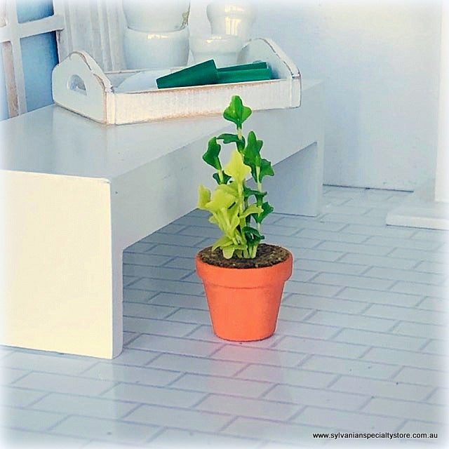 Green Wavy Leaf Houseplant in Pot - Miniature