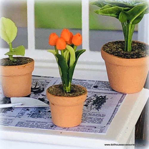 Orange Tulip in Pot - Miniature