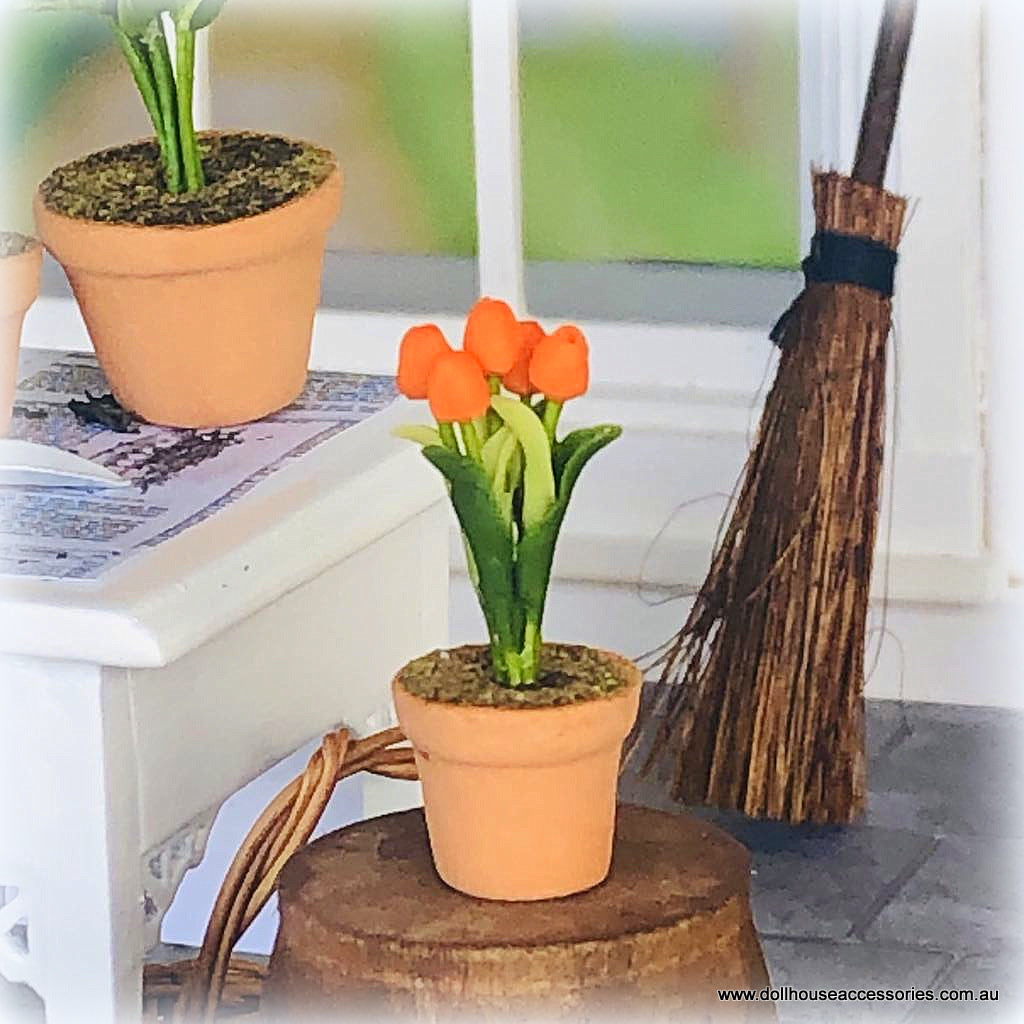 Orange Tulip in Pot - Miniature