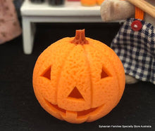 Jack-O-Lantern Pumpkin - Brown stalk