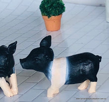 Pair of Piglets - Miniature