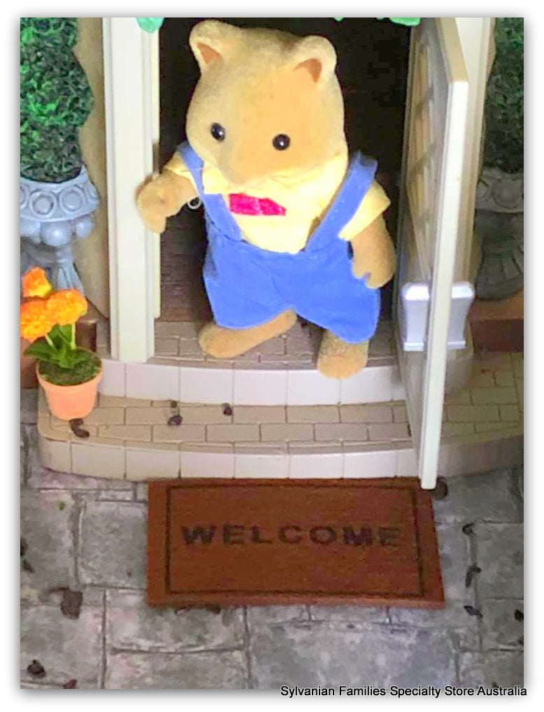Welcome Doormat and plain coir mat