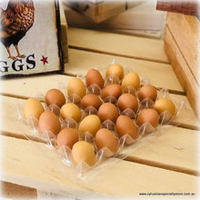 Dollhouse miniature Eggs Farm Fresh on Egg tray