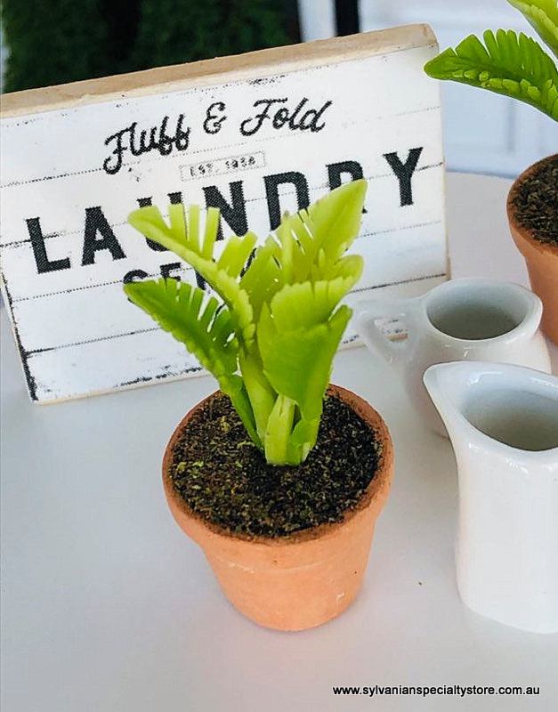 Fern in pot - Green - Miniature