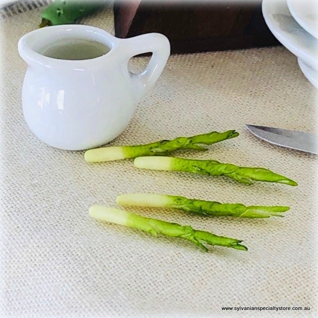 Asparagus x 4 - Miniature