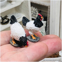 Dollhouse pair of hens miniature figurine chooks