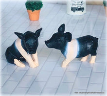 Dollhouse miniature piglets