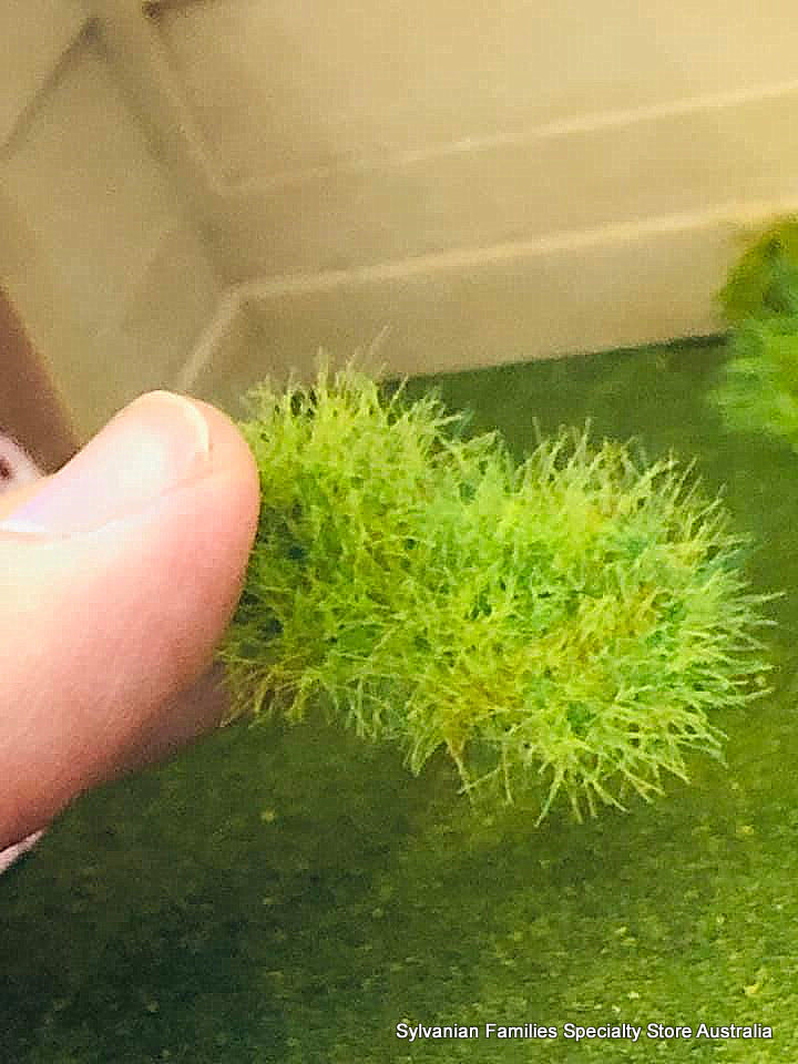 Grass Tufts - 1 sheet of 48 Adhesive grass clumps