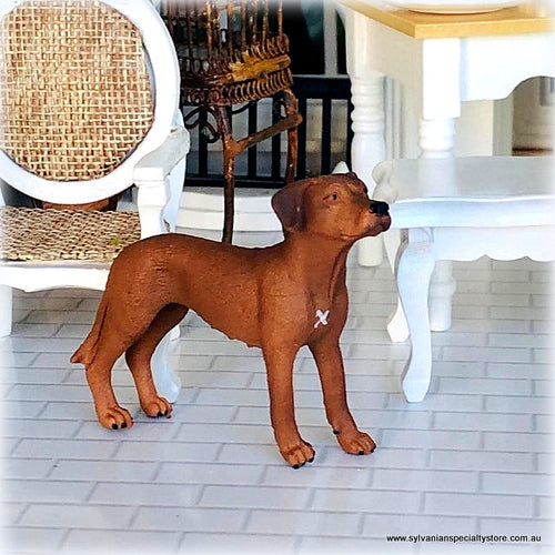 Dollhouse miniature rhodesian ridgeback Schleich dog
