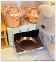 Copper pots and skillet