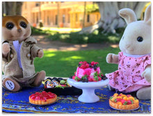 Sylvanian FAmilies picnic Jimbour house Queensland