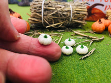 Dollshouse mini white pumpkins decor