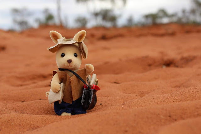 Sylvanian Families experiencing the Great Big Outdoors!