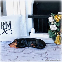 Dachshund Dog - Sleeping - Miniature