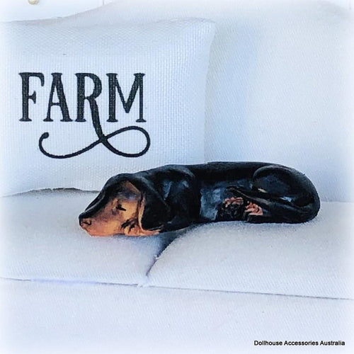 Dachshund Dog - Sleeping - Miniature