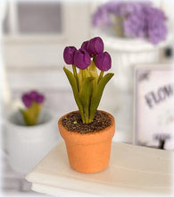 dollhouse dark purple tulip flowers
