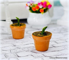 Dollhouse Seedling in pot garden miniature