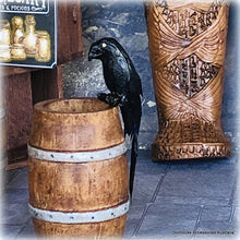 Dollhouse haunted gothic house apothecary black crow bird