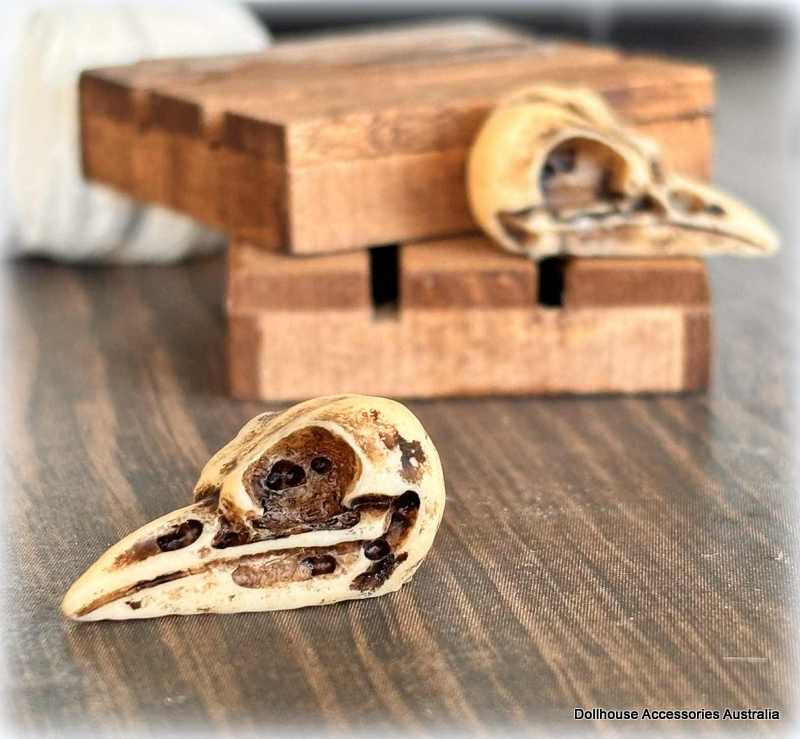 Dollhouse museum display bird skull
