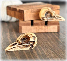Dollhouse museum display bird skull
