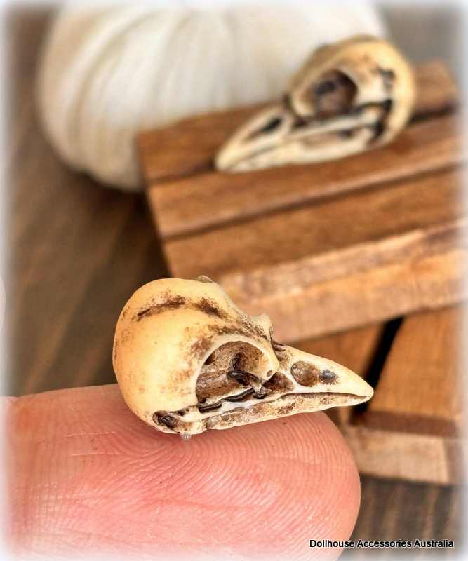 Bird Skull x 1 - Miniature