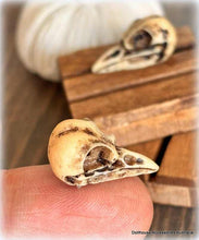 Bird Skull x 1 - Miniature