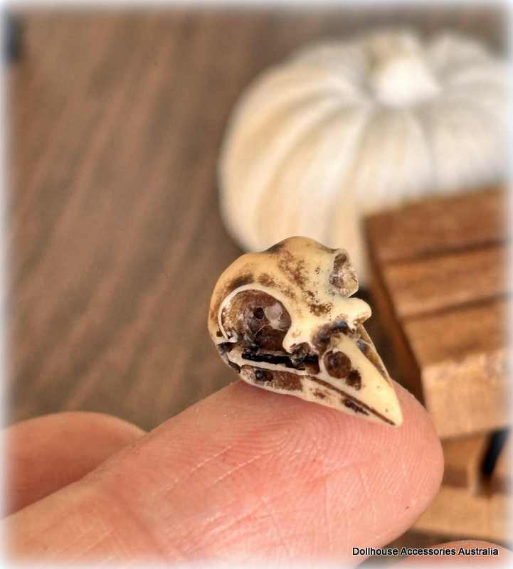 Bird Skull x 1 - Miniature