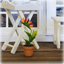 Dollhouse Bird of paradise plant in pot