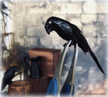 Dollhouse haunted gothic house apothecary black crow bird