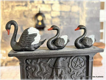 Dollhouse black swans halloween apothecary haunted house