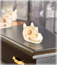 Dragon Skull x 1 - Miniature