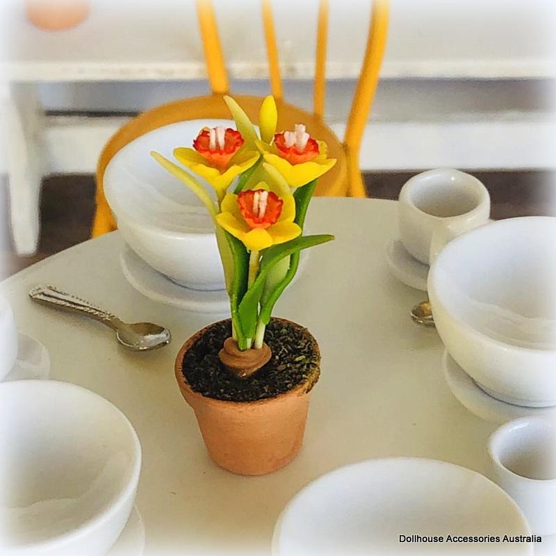 Daffodil in Pot - Miniature