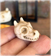 Dragon Skull x 1 - Miniature