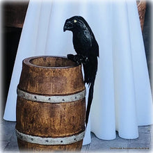 Dollhouse haunted gothic house apothecary black crow bird