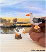 Dollhouse seaside coastal seagulls birds