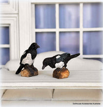 Dollhouse magpies
