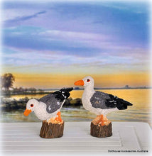 Dollhouse seaside coastal seagulls birds