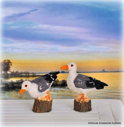 Dollhouse seaside coastal seagulls birds