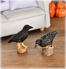 Pair of Black Crows - Miniature