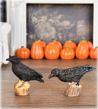 Dollhouse Miniature Black crow birds halloween apothecary resin