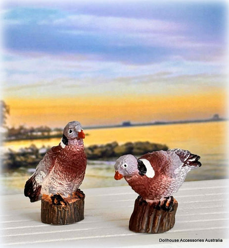 Dollhouse miniature birds pigeons