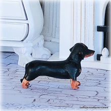 Dollhouse Daschund weiner sausage dog
