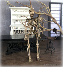 Skeleton - Plastic - 15 cm - Miniature