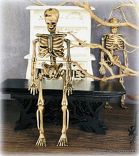 Skeleton - Plastic - 15 cm - Miniature