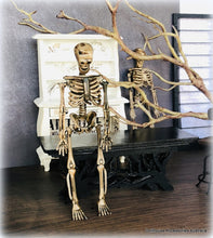 Skeleton - Plastic - 15 cm - Miniature