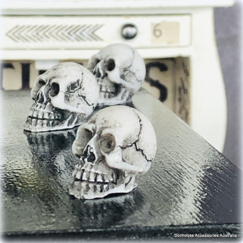 Old Skull x 1 - Miniature