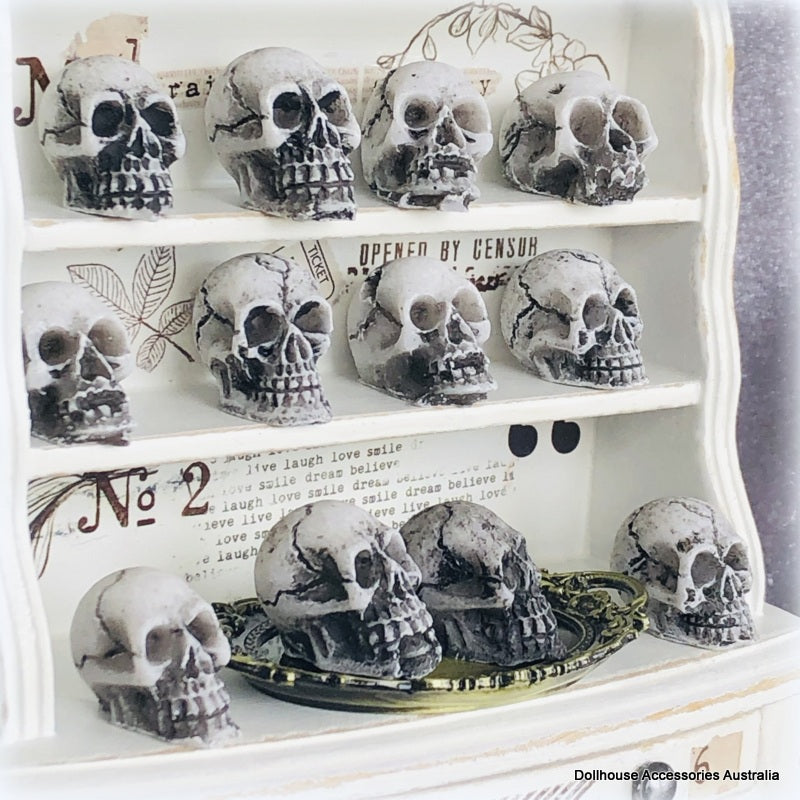 Old Skull x 1 - Miniature